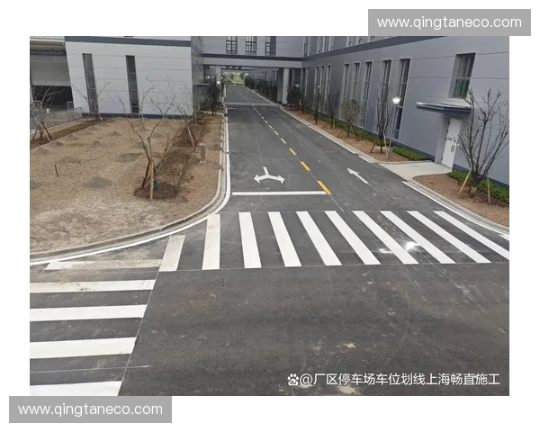 高效场地划线板应用与操作技巧全面解析指南